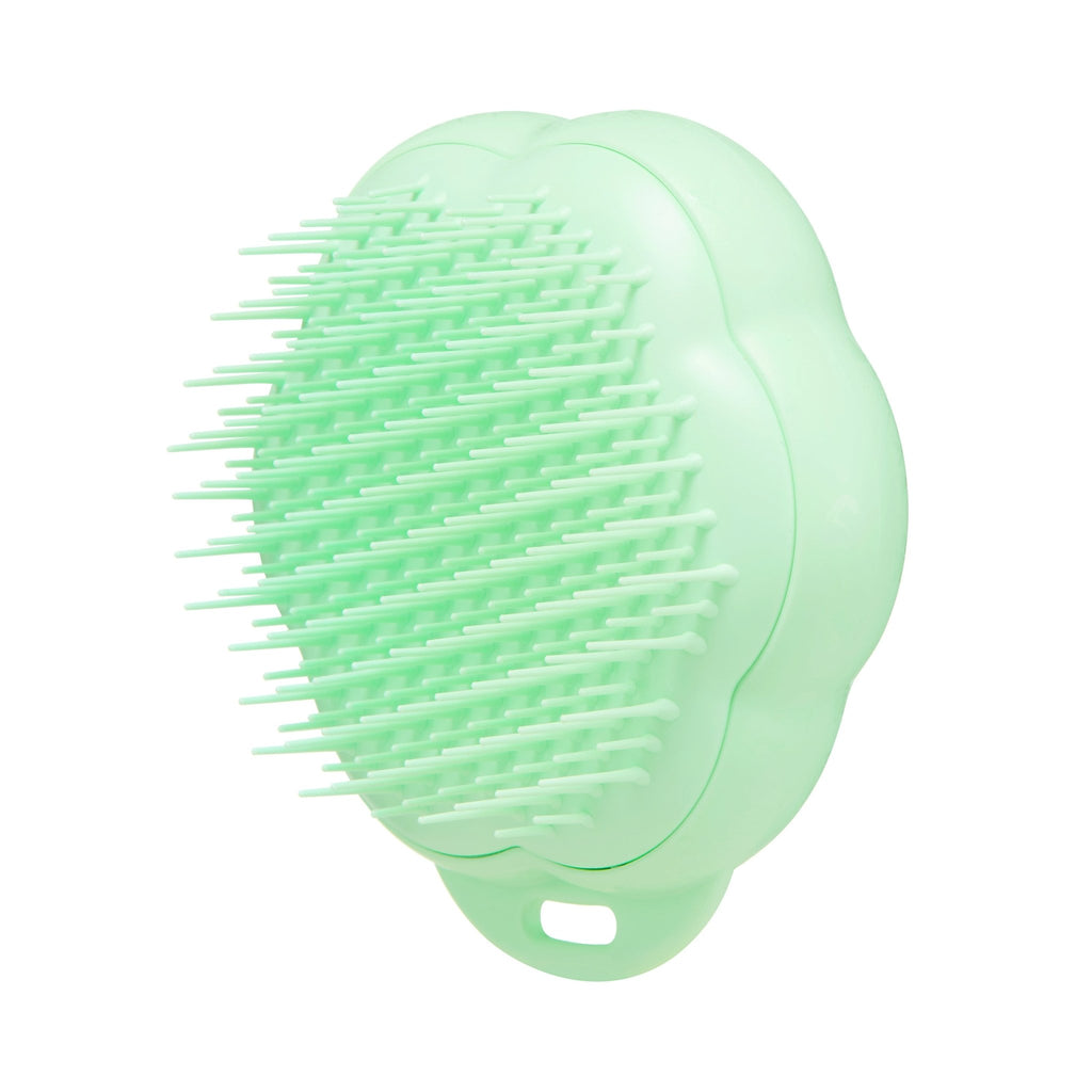 Pet Teezer - Cat Brush - Green / Green - HAIRCAIR Distributors ZA