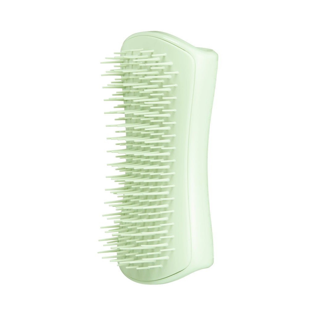 Pet Teezer - Puppy Brush - Green / Green - Pet Grooming - HAIRCAIR Distributors ZA